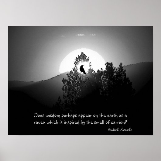 Wisdom als een raven poster (Voorkant)