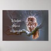 Wisdom Begins in Wonder // Owl Poster (Voorkant)