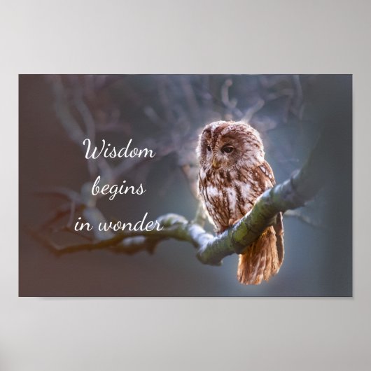 Wisdom Begins in Wonder // Owl Poster (Voorkant)