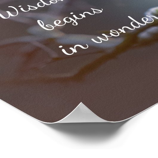 Wisdom Begins in Wonder // Owl Poster (Hoek)