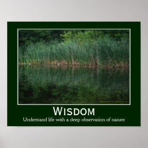 Wisdom Citaat Cattails in het Inspirerend Pond Poster