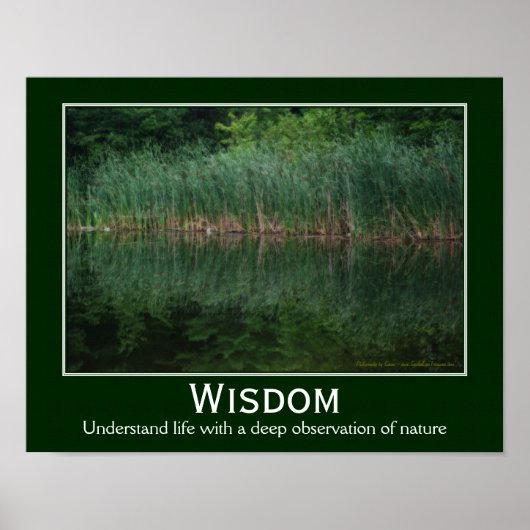 Wisdom Citaat Cattails in het Inspirerend Pond Poster (Voorkant)