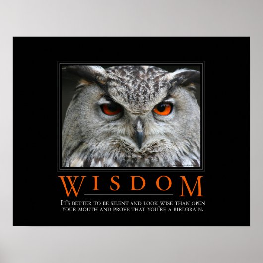 Wisdom Demotivationeel Poster (Voorkant)