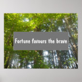 Wisdom Fortune bevoordeelt het dappere gezegde pos Poster (Voorkant)