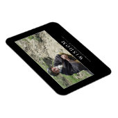 Wisdom: Inspirerend prijsopgave 1 Magneet (Rechterzijde)