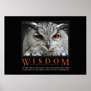 Wisdom Motivatie Parody Poster