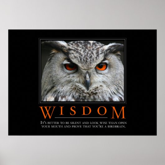 Wisdom Motivatie Parody Poster (Voorkant)