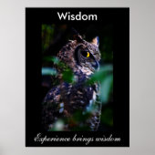 Wisdom Poster (Voorkant)
