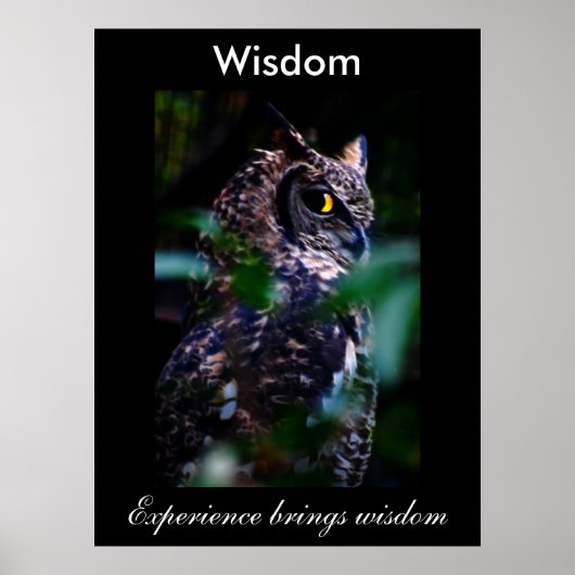 Wisdom Poster (Voorkant)