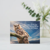 Wisdom Quote Owl briefkaart (Staand voorkant)