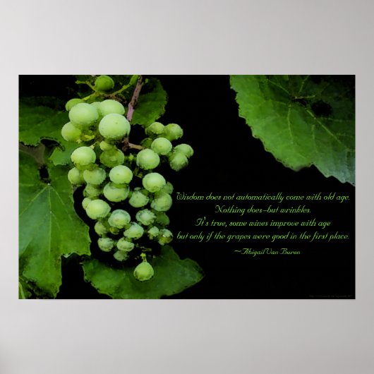 Wisdom Quote Poster (Voorkant)