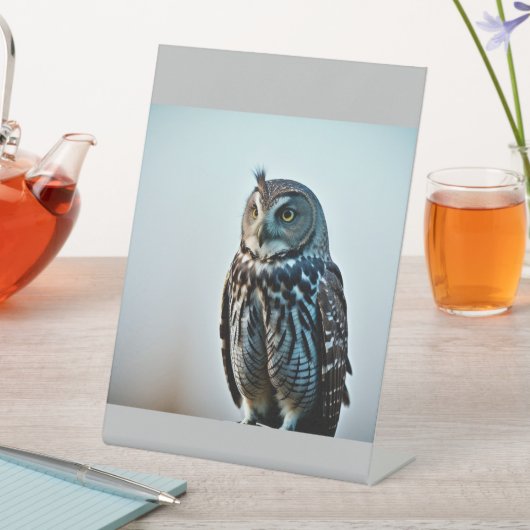 Wisdom Reclamebord Met Voetstuk (Insitu)