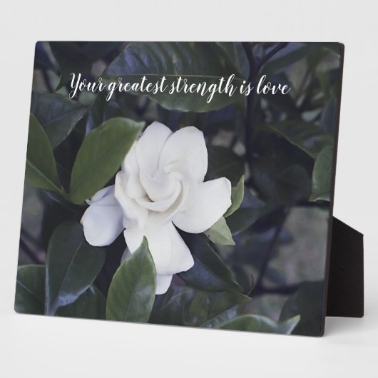 Wisdom Tabletop Plaque met Easel Fotoplaat (Zijkant)