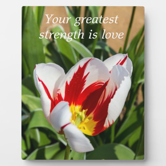 Wisdom Tabletop Plaque met Easel Fotoplaat (Voorkant)