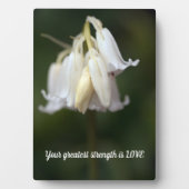 Wisdom Tabletop Plaque met Easel Fotoplaat (voorkant)