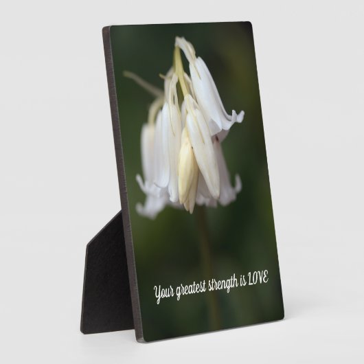 Wisdom Tabletop Plaque met Easel Fotoplaat (Zijkant)