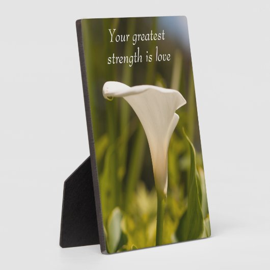 Wisdom Tabletop Plaque met Easel Fotoplaat (Zijkant)