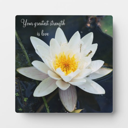 Wisdom Tabletop Plaque met Easel Fotoplaat (Voorkant)