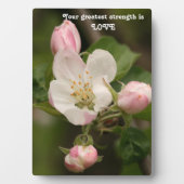 Wisdom Tabletop Plaque met Easel Fotoplaat (voorkant)