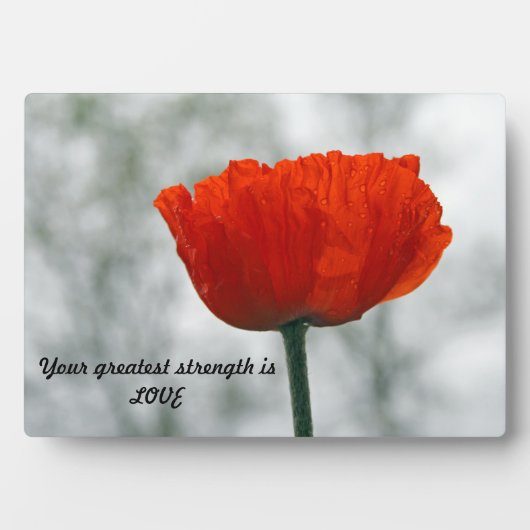 Wisdom Tabletop Plaque met Easel Fotoplaat (voorkant)