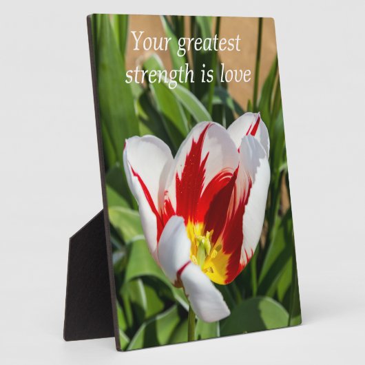 Wisdom Tabletop Plaque met Easel Fotoplaat (Zijkant)