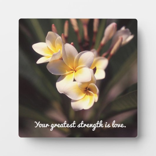 Wisdom Tabletop Plaque met Easel Fotoplaat (Voorkant)