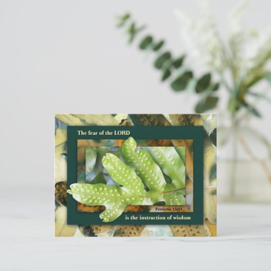 Wisdom van de Heer Briefkaart (Staand voorkant)