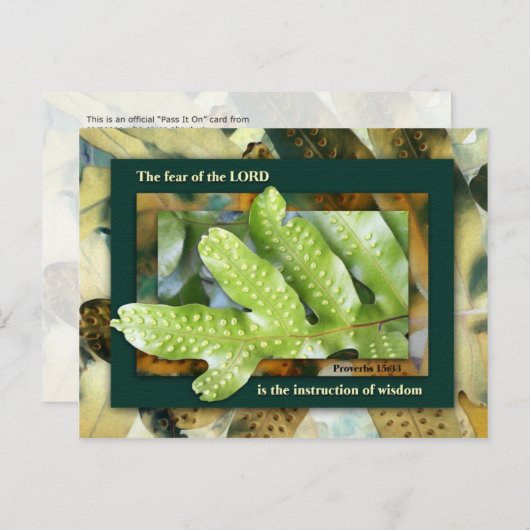 Wisdom van de Heer Briefkaart (Voorkant / Achterkant)