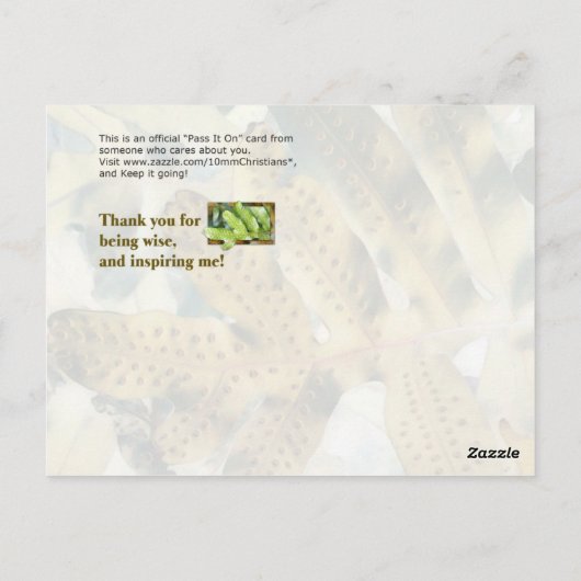 Wisdom van de Heer Briefkaart (Achterkant)