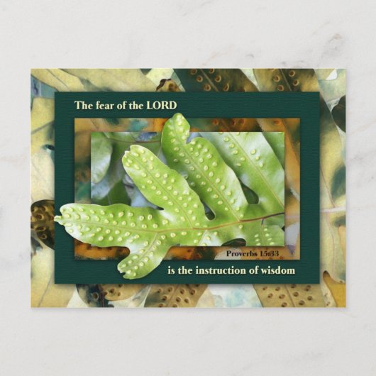 Wisdom van de Heer Briefkaart (Voorkant)