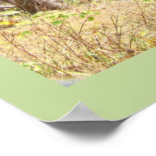 Wisdom van land poster (Hoek)