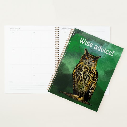 Wise Advisory Owl Planner (Display)
