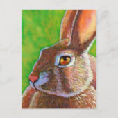 Wise Bunny Briefkaart (Voorkant)