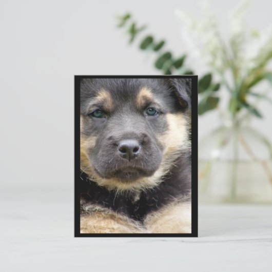 Wise Eyes Briefkaarten (Staand voorkant)