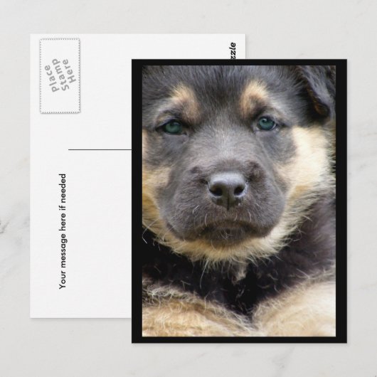 Wise Eyes Briefkaarten (Voorkant / Achterkant)