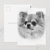 Wise Eyes Hand geschilderd Chihuahua Portret Briefkaart (Voorkant / Achterkant)