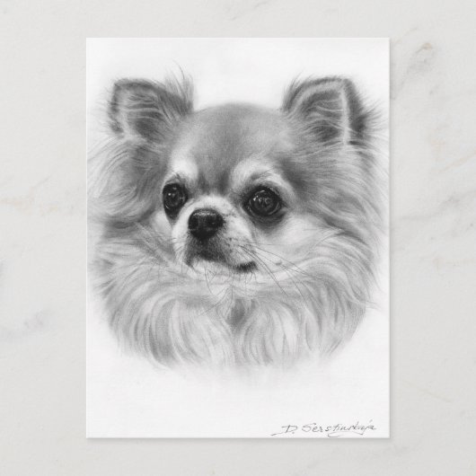 Wise Eyes Hand geschilderd Chihuahua Portret Briefkaart (Voorkant)