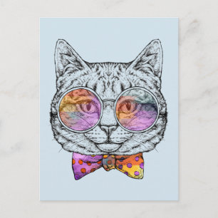 Wise Kat Kat Briefkaart