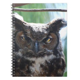 Wise Long Eared Owl Notitieboek