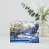 Wise Man Winter - Coquille, Oregon Briefkaart (Staand voorkant)