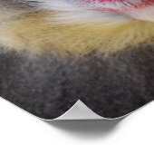 Wise Mandrill Monkey Poster (Hoek)