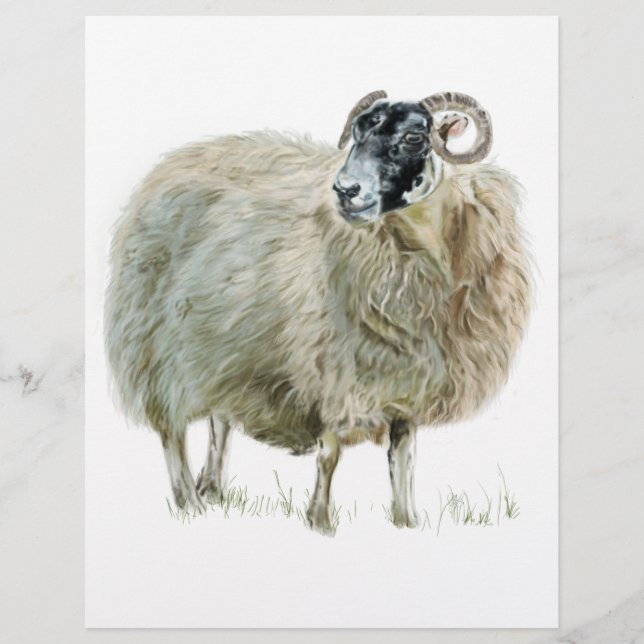 Wise Moeder Sheep (Voorkant)