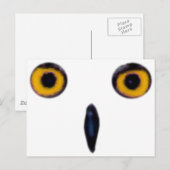 Wise Old Owl Eyes Briefkaart (Voorkant / Achterkant)