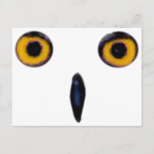 Wise Old Owl Eyes Briefkaart
