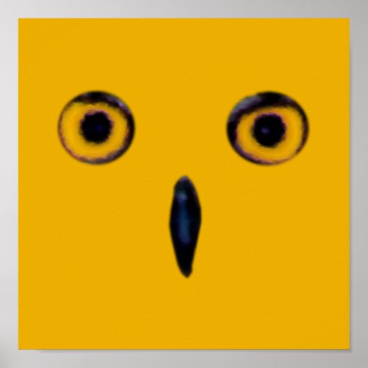 Wise Old Owl Eyes Poster (Voorkant)