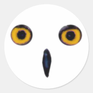Wise Old Owl Eyes Ronde Sticker