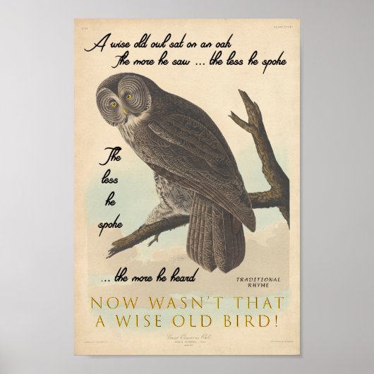 Wise Old Owl Poster (Voorkant)