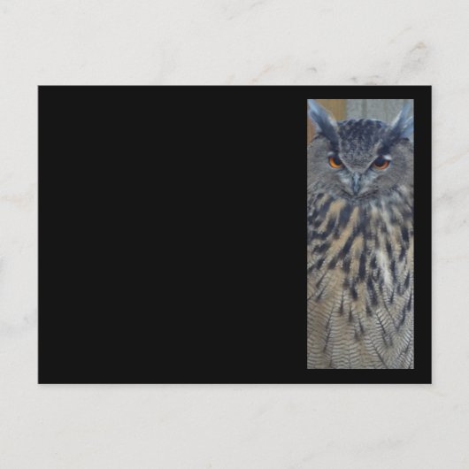 Wise One Briefkaart (Voorkant)