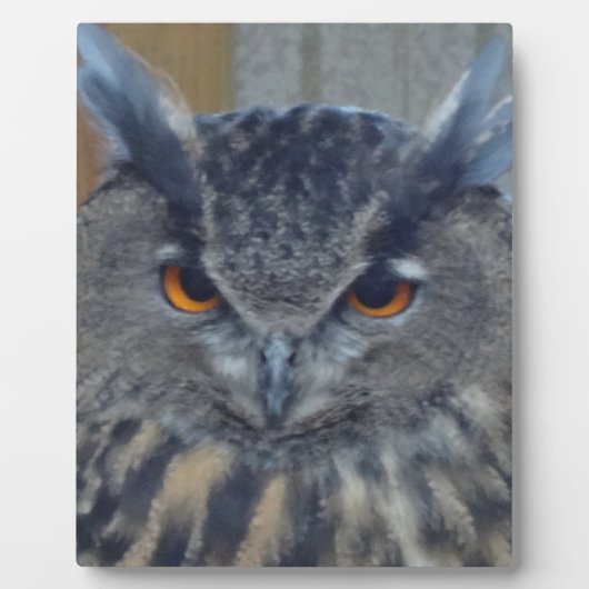 Wise One Fotoplaat (Voorkant)