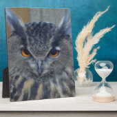 Wise One Fotoplaat (Zijkant)